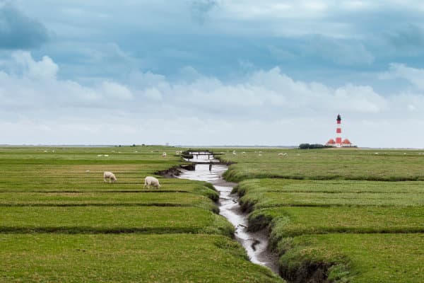 Tatortreinigung Schleswig-Holstein